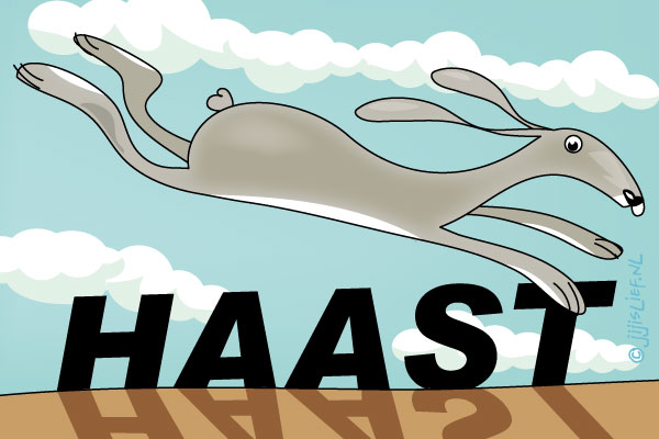 Kaart: Haast