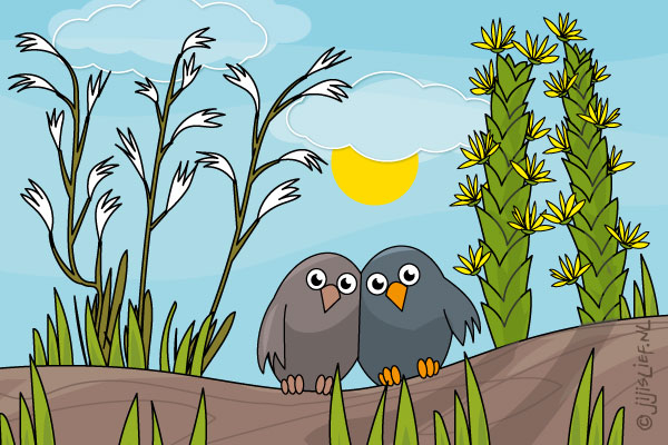 Kaart: Samen