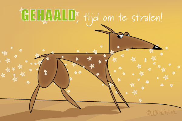 Kaart: Gehaald!