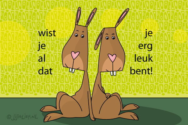Kaart: Je bent erg leuk!