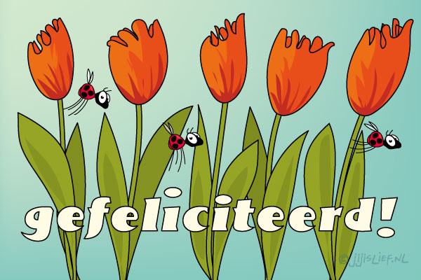 Kaart: Gefeliciteerd!