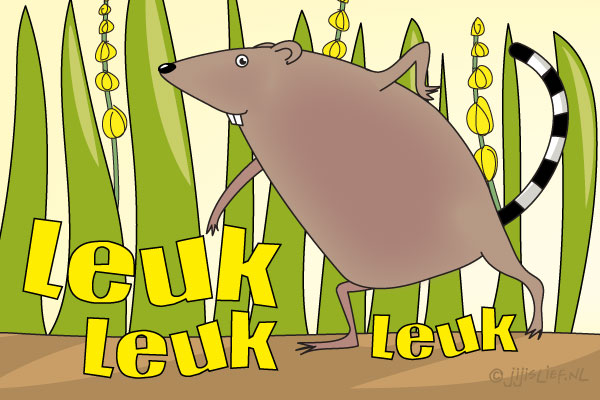 Kaart: Leuk