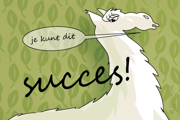 Kaart: Succes!