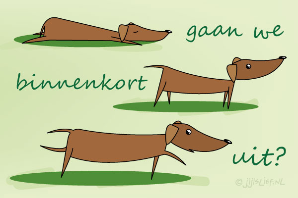 Kaart: Uit?